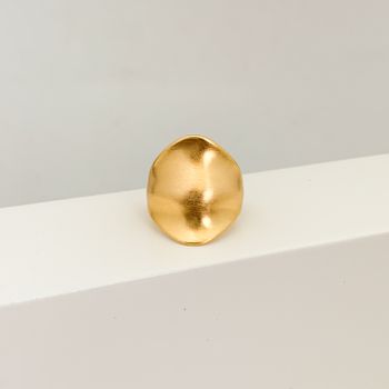 Anel Liso Acetinado Banhado a Ouro 18k - 107567 - Roanne Jóias