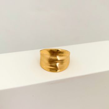 Anel Martelado Acetinado Banhado a Ouro 18k - 107... - Roanne Jóias