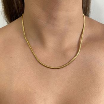 Corrente Lacraia 45cm Semijoia - 1011831786 - Roanne Jóias