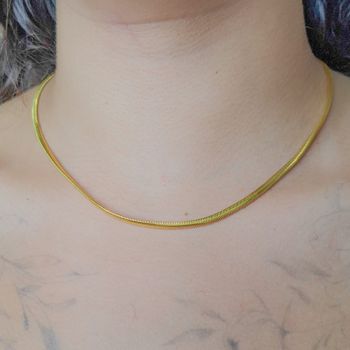 Corrente Lacraia 45cm Semijoia - 1011830708 - Roanne Jóias