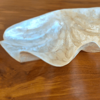 Bowl Shell Tahiti G - SANTAMARIA DESIGN E MOVELARIA