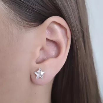 Brinco Estrela Zirconia Cristal 8x8mm Prata 925 - ... - Roanne Jóias
