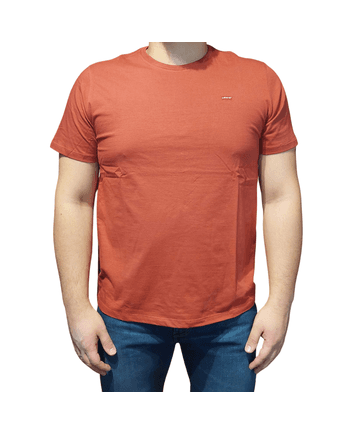 CAMISETA LEVI'S MASCULINA LB0020083 - Horses Ville | O Shopping do Cavaleiro