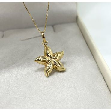 Pingente 18k Estrela do Mar Polida - Helder Joalheiros 