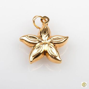 Pingente 18k Estrela do Mar Polida - Helder Joalheiros 