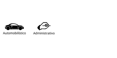 43040954