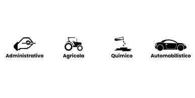 490293166