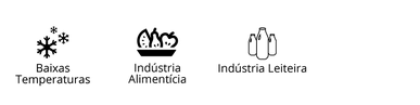 81000081