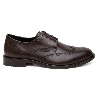 SAPATO SOCIAL DERBY BROGUE BÉLGICA CAFÉ - Bernatoni Calçados