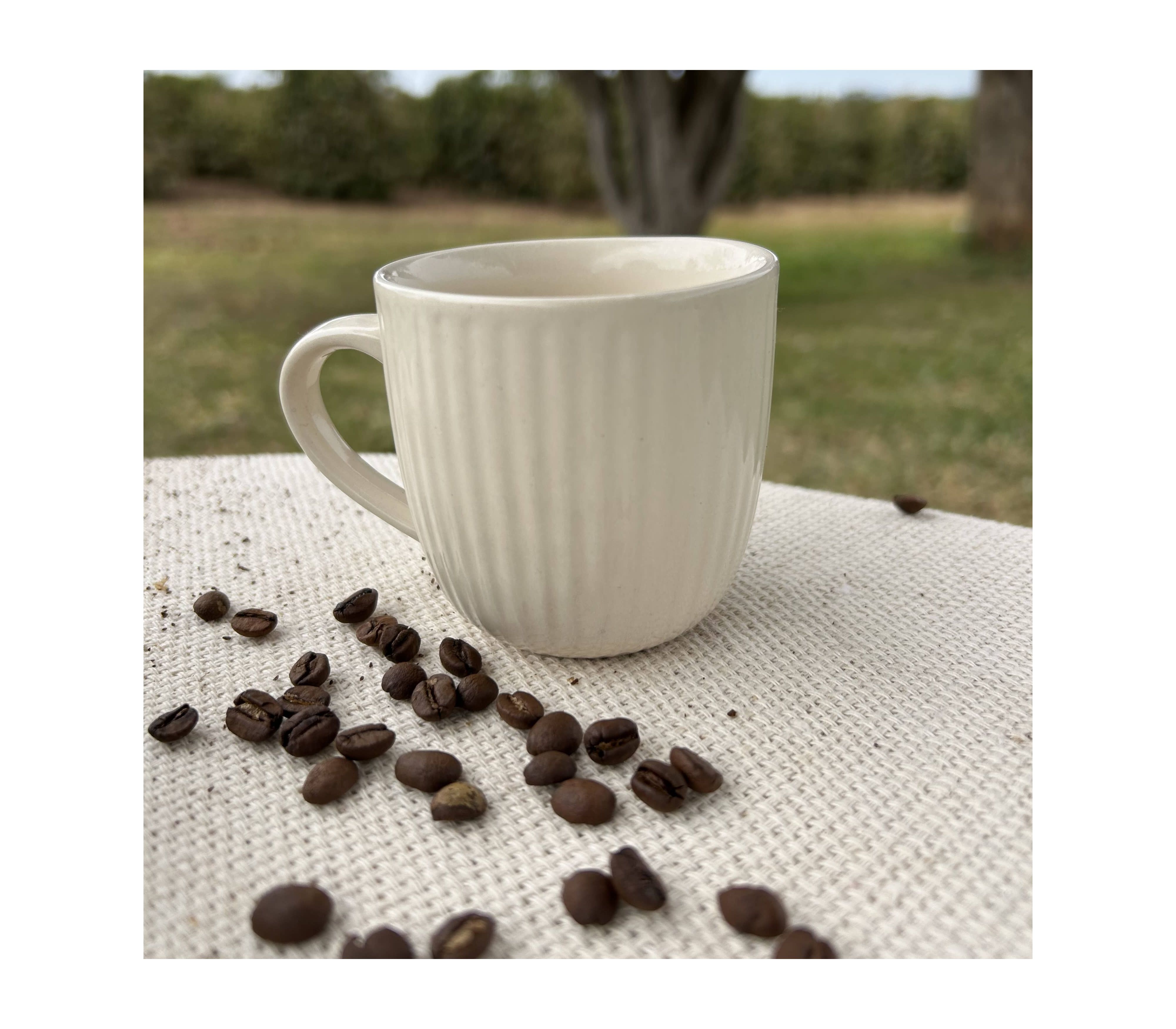 Caneca porcelana Off - Café Gran Villato