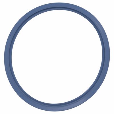 Anel Vedação Silicone Vtc Class / Class Cd 12l Azul