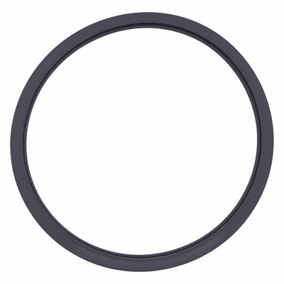 Anel de Vedação Cinza para Autoclave Cristófoli Vt 12l