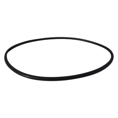 Anel Oring 2-153 Gnatus