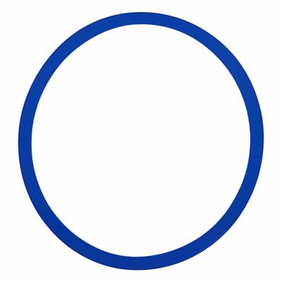 Anel de Silicone para Vedação 12l 26mm Diam Azul 70a75 Shore Azul Autoclave Cristofoli