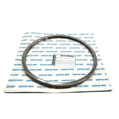 Anel Silicone Porta Autoclave Dabi 19l