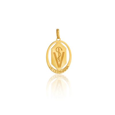 Pingente De Ouro 18k Formatura De Veterinária - 101953 - Fábrica do Ouro ®️