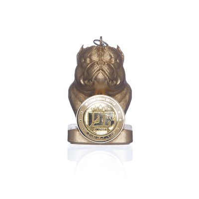 CHAVEIROS TROFEU EXOTIC BULLY IDR - OURO - IDR DOG SHOP