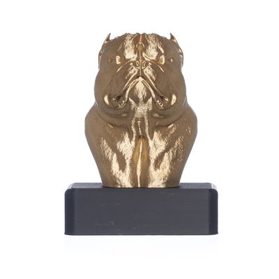 TROFÉU IDR EXOTIC - OURO - IDR DOG SHOP