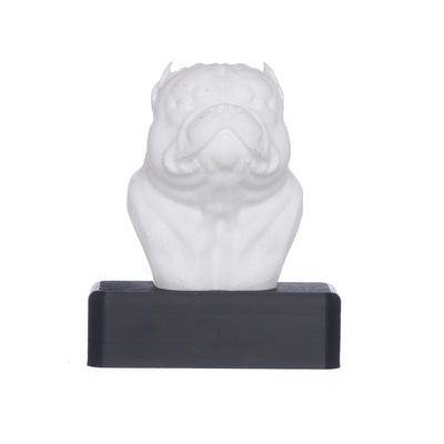 TROFÉU IDR EXOTIC - BRANCO - IDR DOG SHOP