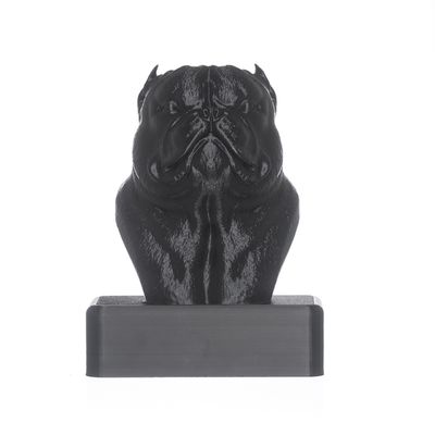 TROFÉU IDR EXOTIC - PRETO - IDR DOG SHOP