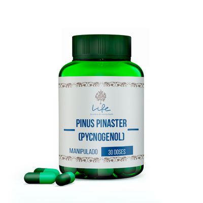 Pinus Pinaster (pycnogenol) 150mg - 30 Doses