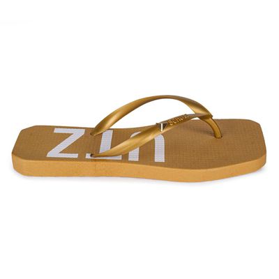 Chinelo sales schutz 2020