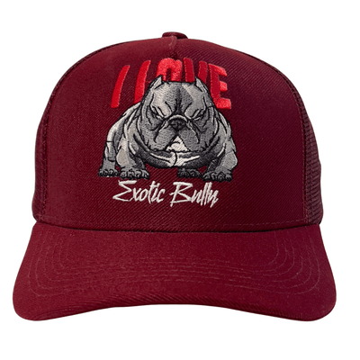 BONÉ IDR TRUCKER ABA CURVA OFICIAL- I LOVE EXOTIC ... - IDR DOG SHOP