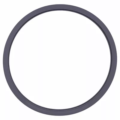 Anel de Vedação Cinza para Autoclave Cristófoli Vt 21l