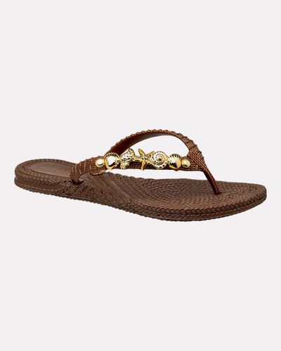 Chinelo Hibisco - Bronze - Pé Relax Calçados Confortáveis