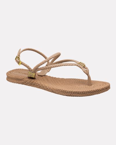 Sandália Hibisco - Taupe - Pé Relax Calçados Confortáveis