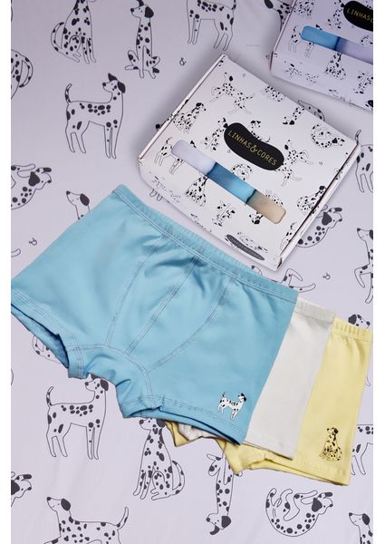Kit Cueca Pet Friend - Linhas & Cores
