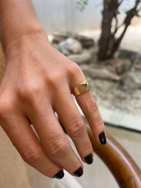 ANEL DEDINHO REGULÁVEL GEOMETRICO BANHADO A OURO - Dri Ferreira Semi Joias