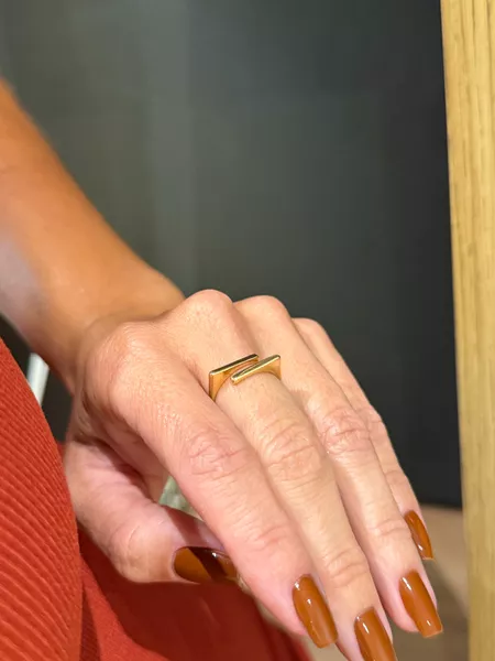ANEL REGULÁVEL DUPLO LISO FINO BANHADO A OURO - Dri Ferreira Semi Joias