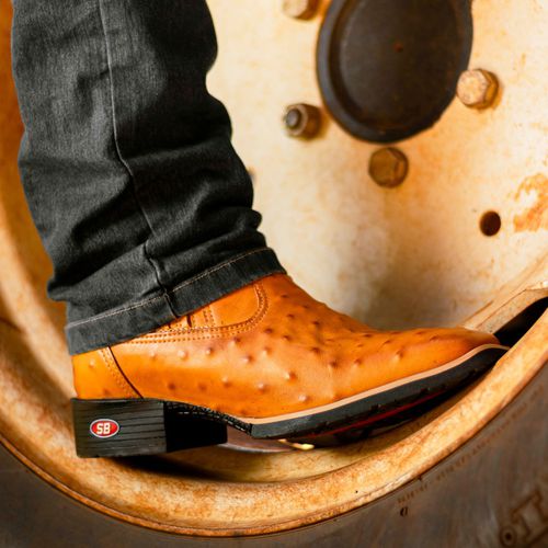 Botina Texana Austin - Avestruz - Sistema Bruto | Botas Texanas em couro