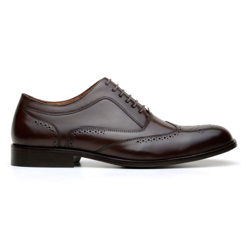 Sapato Masculino Oxford Vittorio Café - GIANNO