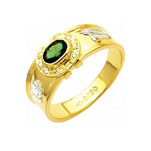 Anel de Formatura em Ouro 18k/750 com Zirconia ANFO09