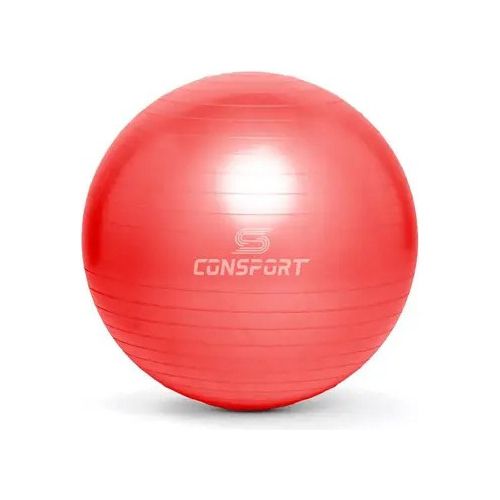 Bola Suíça para Pilates e Ginástica - 55cm - Verme... - Natural Fitness