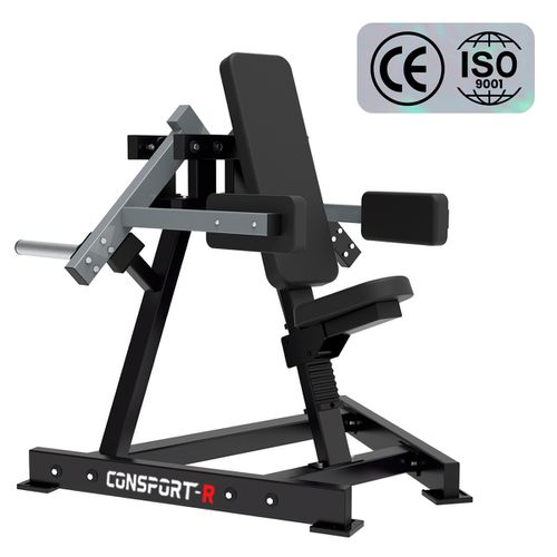 Elevação Lateral Aparelho para Academia Consport-R - Natural Fitness