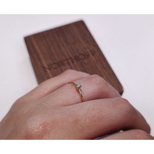 Anel Solitário Paixão em Ouro 18k e Diamante - NORTHOFF - Sonhos em Ouro 18k!