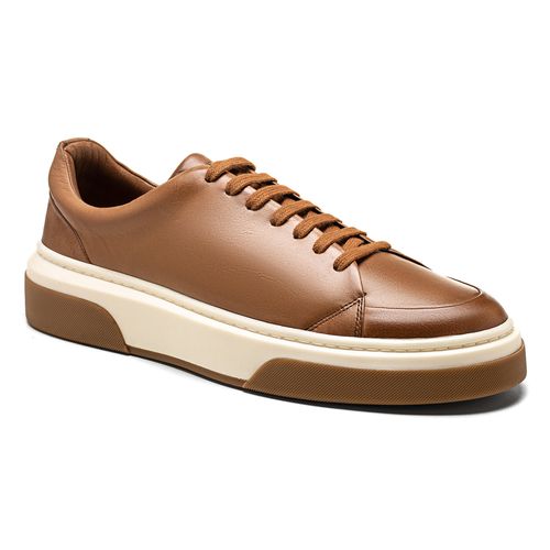Tênis Sneakers 20504 Tostado - Salerno Prime