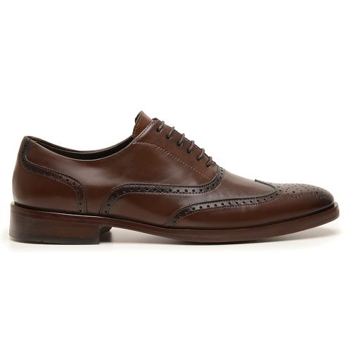 Sapato Masculino Premium Scavi Cafe Bernotte - sa... - Bernotte