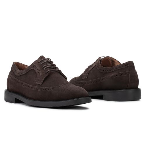Sapato Casual Derby Full Brogue Café 