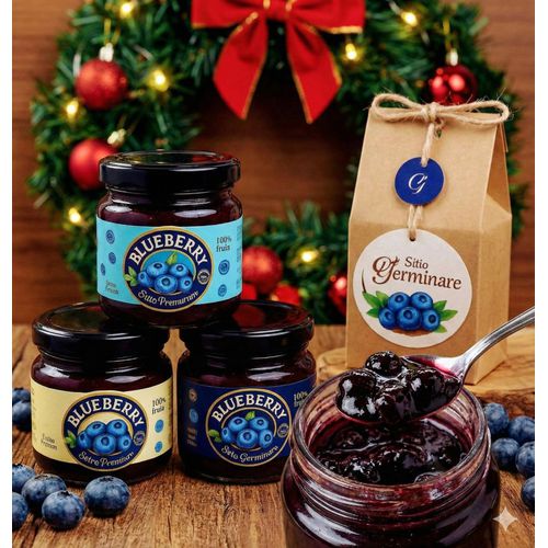 Kit Natal: 3x Geleias de Mirtilo 120g + Brinde Sur... - Sitio Germinare 