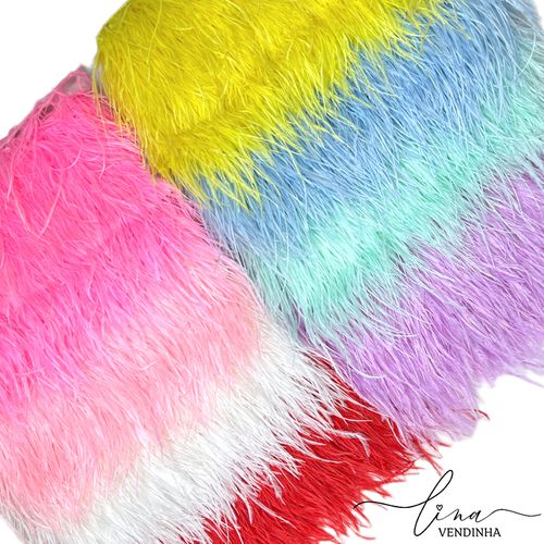 Plumas ( 1 Metro) - VENDINHA LINA