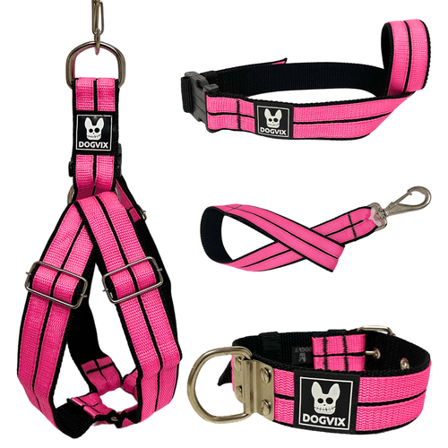 Kit Americano Voult Rosa - Dogvix