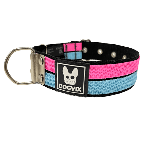 Coleira Neon Paty 40mm - Dogvix