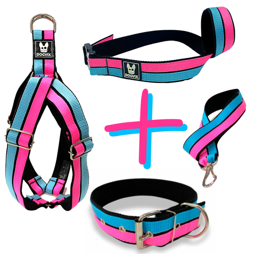 Kit Americano Neon Paty - Dogvix