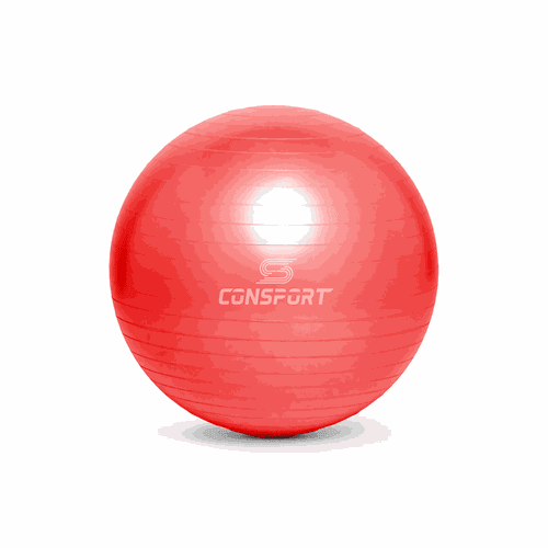 Bola Suíça para Pilates e Ginástica - 55cm - Verme... - Natural Fitness