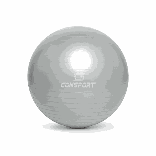 Bola Suíça para Pilates e Ginástica - 65cm - Cinza... - Natural Fitness