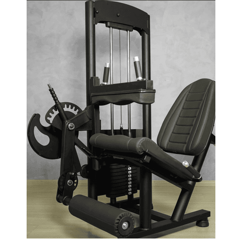 Cadeira Extensora e Flexora Máquina 80kg - Naciona... - Natural Fitness